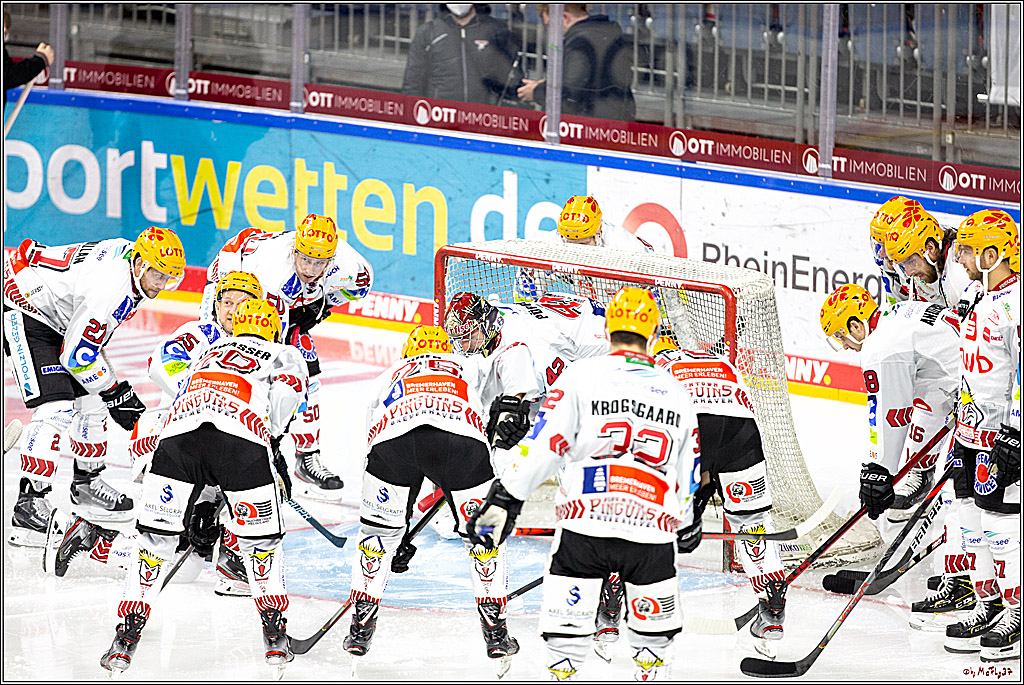 PENNY DEL;  Koelner Haie - Fischtown Pinguins Bremerhaven; Koeln, 12.02.2021